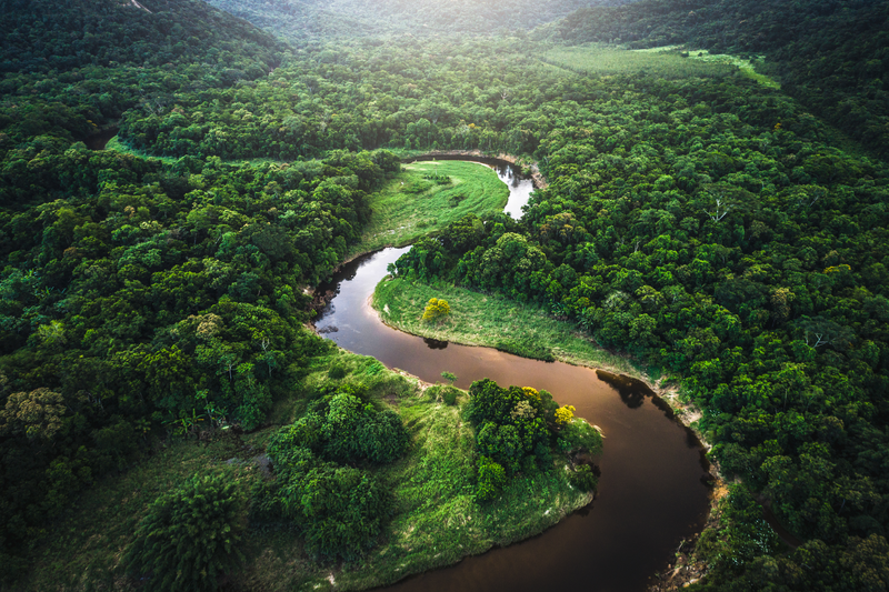 Mata Atlantica - forêt Atlantique au Brésil 