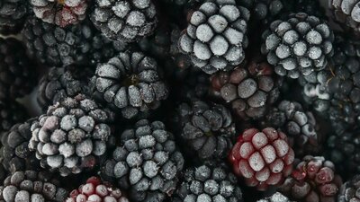 Frozen blackberries