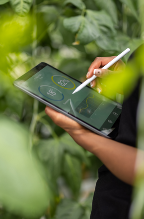 Technology in nature - Getty Images