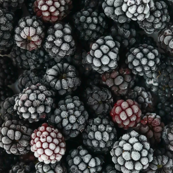 Frozen blackberries