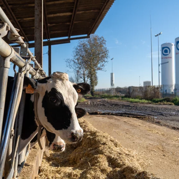 Fontanella biogas production unit © Andrea Campagnolo